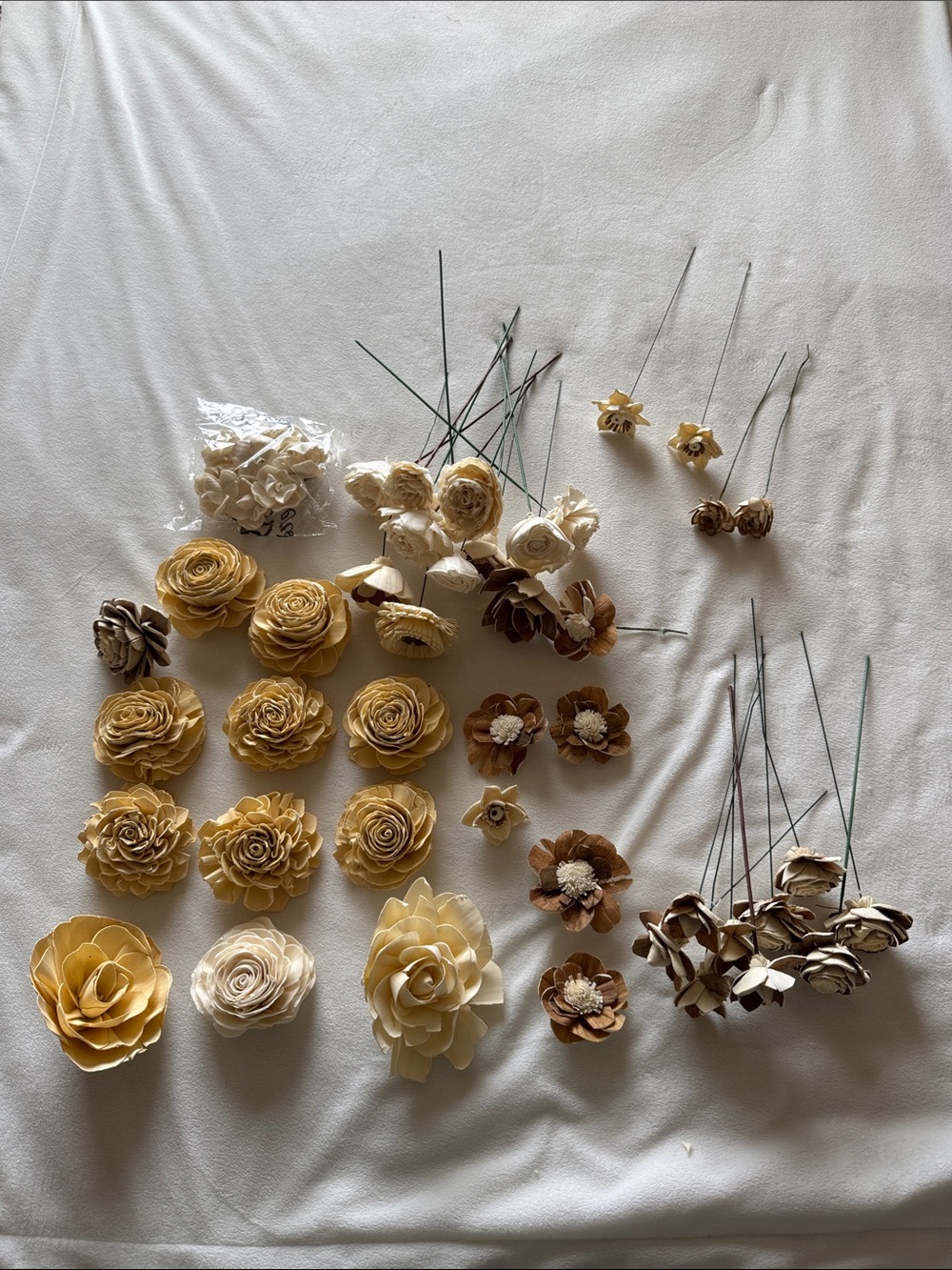 Wood Flowers